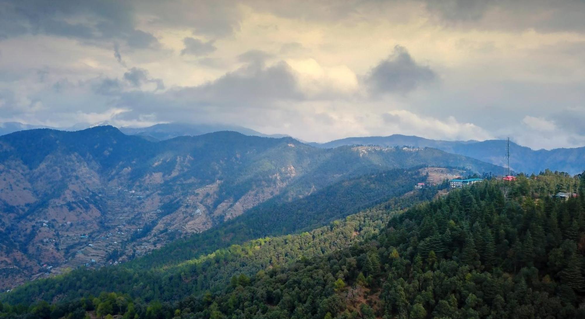 Treehouse Chail Villas Luaran gambar