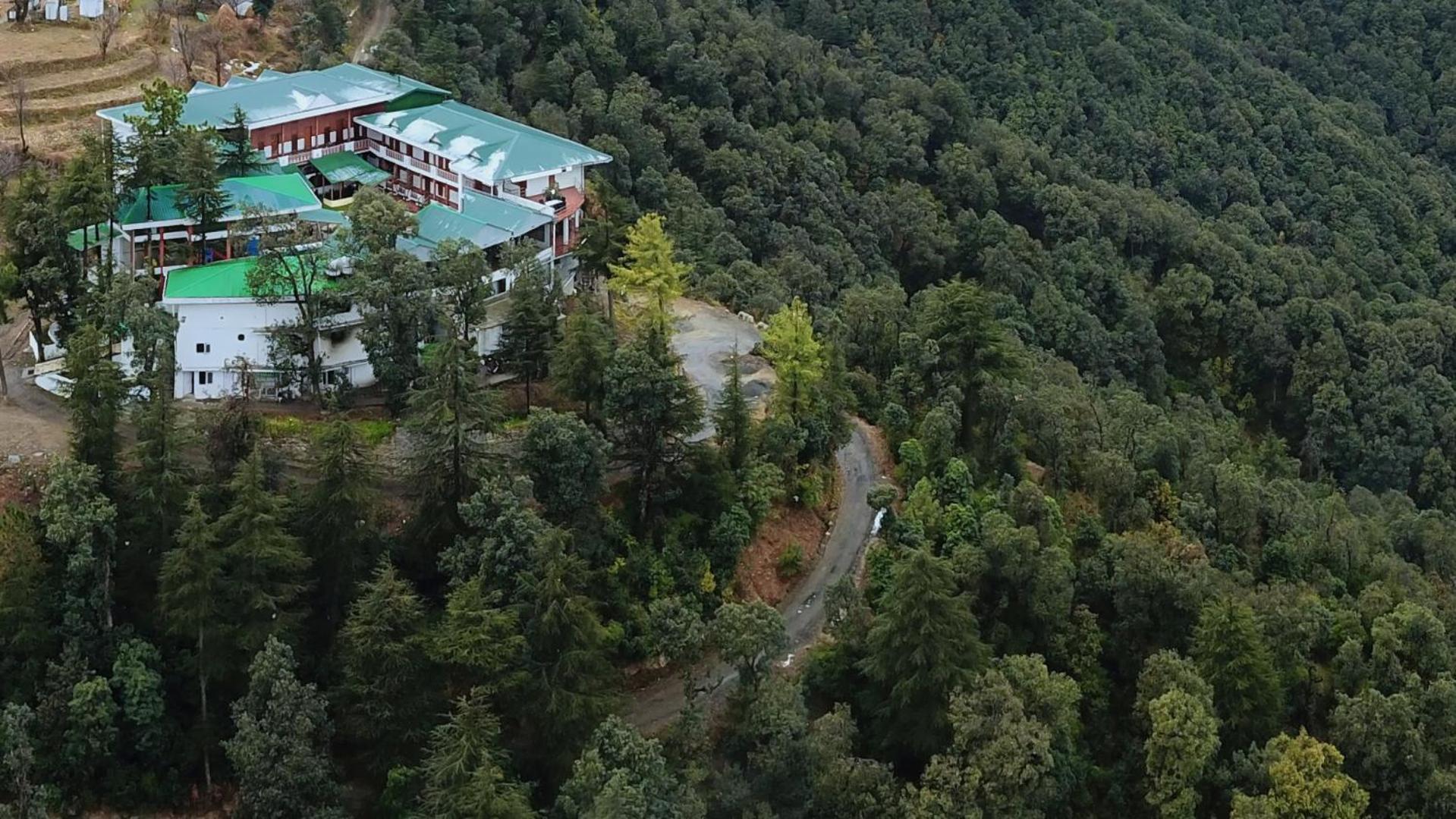 Treehouse Chail Villas Luaran gambar